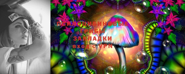 марки lsd Богданович